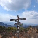 제126회 3월정기산행 (옥천) 어깨산.망덕산 봄산행 ”시산제” 이미지