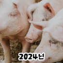 부영축산물유통