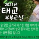 원더버디