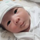 [전남 강진] 전남공공산후조리원 2호점 2주 사용후기