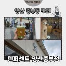 [양산 카페] 중부동 카페 텐퍼센트커피 양산중부점 말차 치즈폼 프레치노 후기🥤(내돈내산)