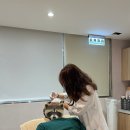 나의계절의원 | 타이베이 탐방기 - 대만 미용 피부과 방문기 및 미간 보톡스 후기