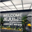 삼화렌트카 | 제주에서 산타페 타고 여행하기순두부 맛집, 제주 팔레스 호텔, 태양상회 후기
