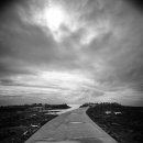 동일리-10 이미지