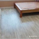 시칠리팬션 이미지