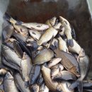 산장낚시터 이미지