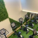 오하운GYM 이미지