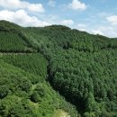 국립산림과학원
산림바이오소재연구소 이미지