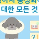 정든동물병원 이미지