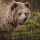 세보식품 이미지