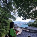 복천사 선원제전집도서 | 부산 영도 복천사 노을과 야경이 아름다운 사찰