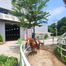 이방초등학교 앞 | 8살 아이와 함께 첫 번째 창녕 우포승마장와 안리마을
