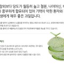 곡성멜론 이미지