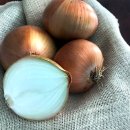 우체국쇼핑 양파 3kg 3,660원 이미지