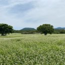 큰엉(남원관광지구) 이미지