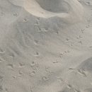 복덕농장 | 무이네 지프투어 현지업체 tay nguyen 후기