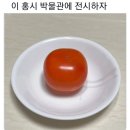홍시당 이미지