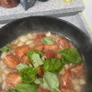 현대수도농자재 | [식집사 일기] 베란다에서 오팔바질 씨앗 발아해서 키우기