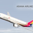 [작업완료] 아시아나항공 B767-38E HL7248 for Level-D Simulations 이미지