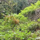 구평동-2 이미지