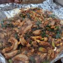 대왕곰장어 이미지