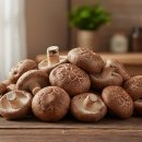 싸다마트 | 마트 버섯보다 훨씬 싸다? 국산 표고버섯 못난이 파지 솔직 후기