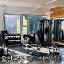 메루치 양식장 | [울산운동] 마른 비만을 위한 운동중독 트레이너가 있는 울산 1대1PT샵 “메루치 양식장 울산본점”