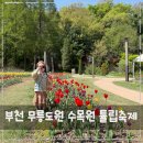 째까니 | 부천 튤립축제 무릉도원 수목원 자연생태공원 무료입장, 주차꿀팁정리