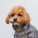 달링스튜디오 이미지