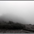 산장의아침