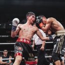 용인대SM복싱클럽 장기점 이미지