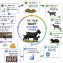 지연농장 | 염소농장의 생산성 향상을 위한 사양관리 체계
