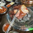 갈비메이트