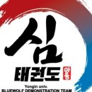 용인대심태권도장