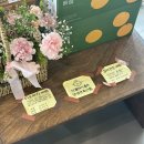 배배농장 이미지