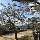 펜션33.3 이미지