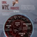 순위: 국가별 세계 최대 와인 생산자 이미지