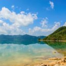 외국어번역 행정사사무소 이미지