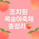 세종태권도 | [세종여행] 7월 25~27일 조치원 복숭아축제 일정·꿀팁 총정리