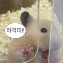 바람의언덕동해타파스와인&비어 네이버블로그