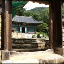 산골자전거 이미지