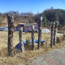 동촌1리 이미지