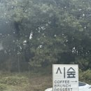 현덕로 | 평택 대형카페 시숲 방문 후기(아이랑 가기 좋은 카페)