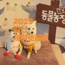 핑크 pet 살롱 | [펫페어]2019년 일산 케이펫페어 다녀온 후기