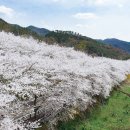 오섬권역 주차장 이미지