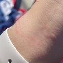 호스텔블랙펄 | 3박4일 터키 페티예 여행 :: 악몽의 페티예 | 패러글라이딩 | 보트투어 비추 | 페티예~괴레메 야간 Suha...