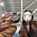 한담낭뜰