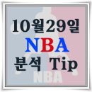 골든피누스 이미지