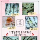 살롱(salon)106 네이버블로그