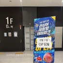 수정시흥-D-8 | 시흥 더베이54 거북섬 아쿠아리움 애들 데리고 갈만한 곳